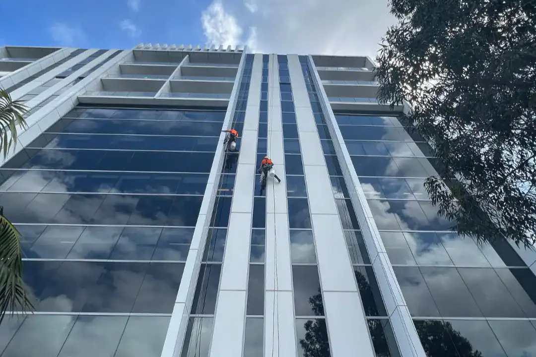 Pressure Washing Ascot